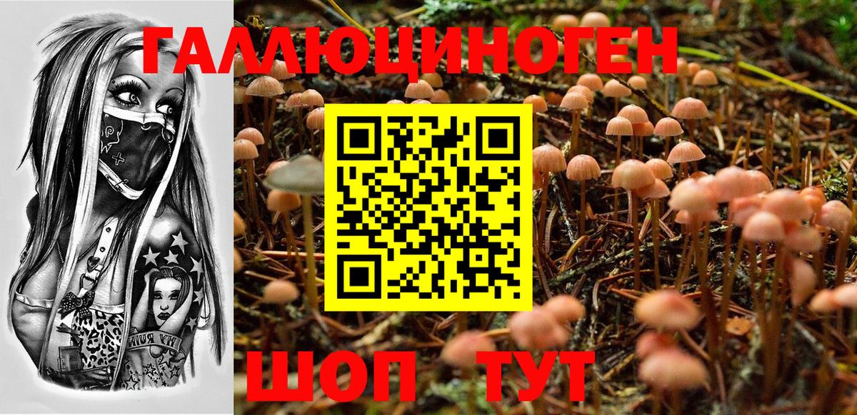 Псилоцибиновые грибы Cubensis  Вход с VPN  Чехов 
